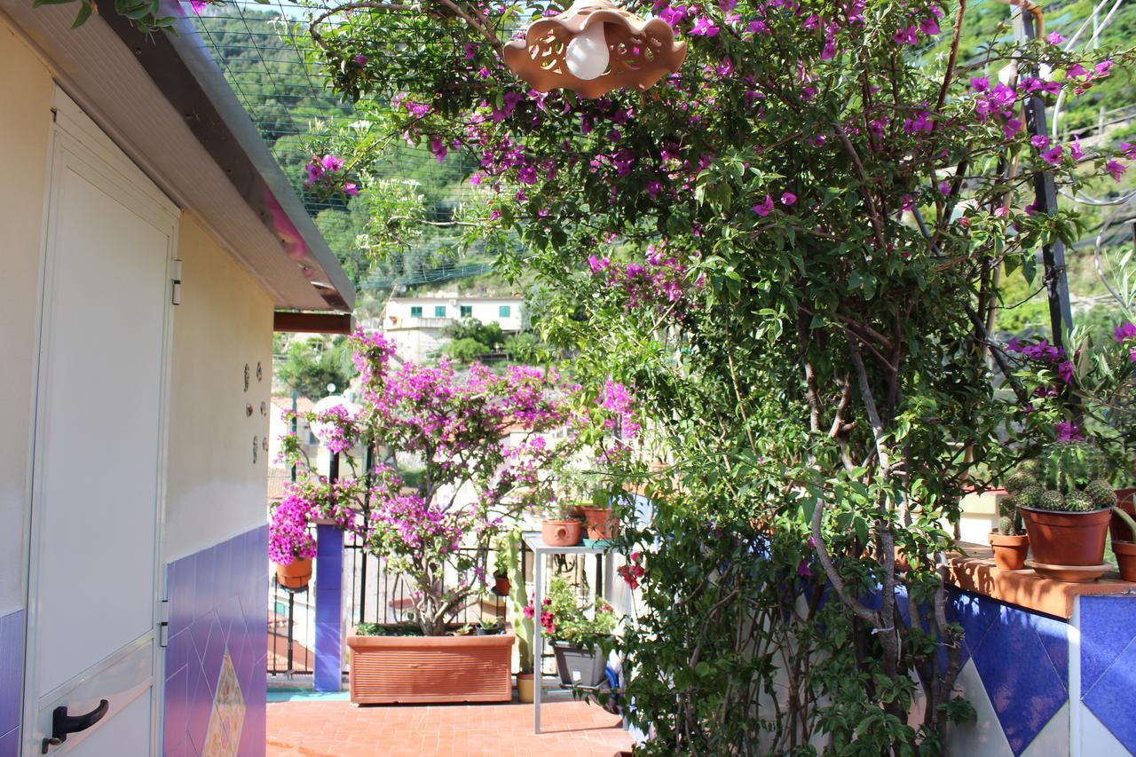 Reginella Bed & Breakfast Cetara Bagian luar foto